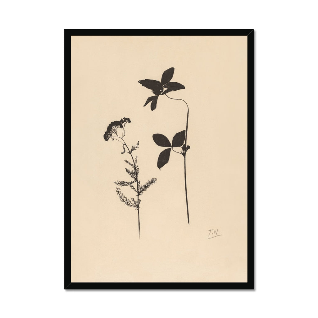 Nature, clover, botanicals, floral, black, beige, art, classical, neutral