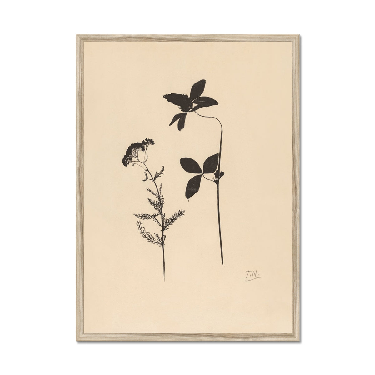 Nature, clover, botanicals, floral, black, beige, art, classical, neutral