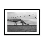 Load image into Gallery viewer, Framed &amp; Mounted Print
