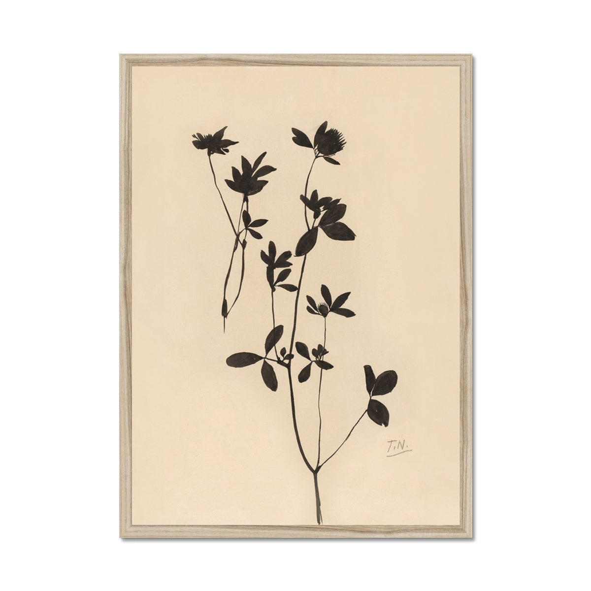 Nature, clover, botanicals, floral, black, beige, art, classical, neutral