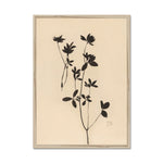 Load image into Gallery viewer, Nature, clover, botanicals, floral, black, beige, art, classical, neutral
