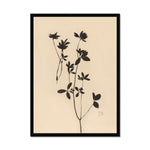 Load image into Gallery viewer, Nature, clover, botanicals, floral, black, beige, art, classical, neutral
