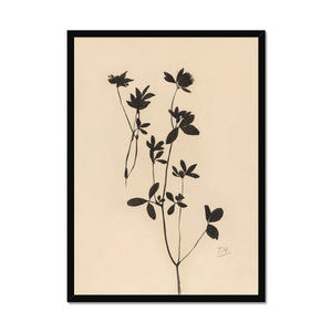 Nature, clover, botanicals, floral, black, beige, art, classical, neutral