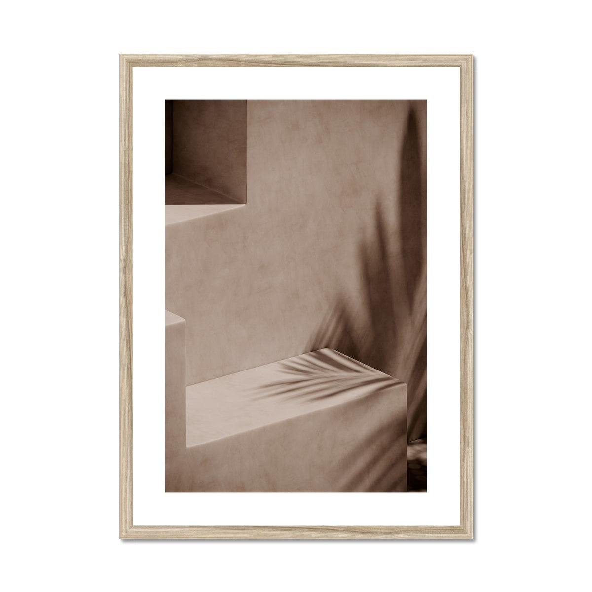 Palm Stairs and Window | Framed & Mounted Print